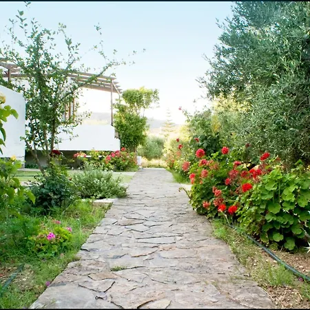 Voula's Casa Di Mare * Palekastro
